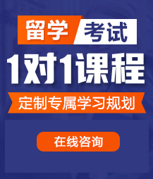 女人的鸡鸡啊啊啊啪啪啪小骚逼留学考试一对一精品课